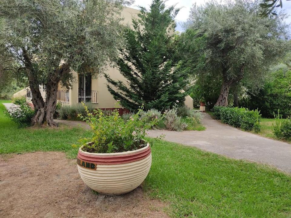 קאבוס Oliveland Apartments מראה חיצוני תמונה