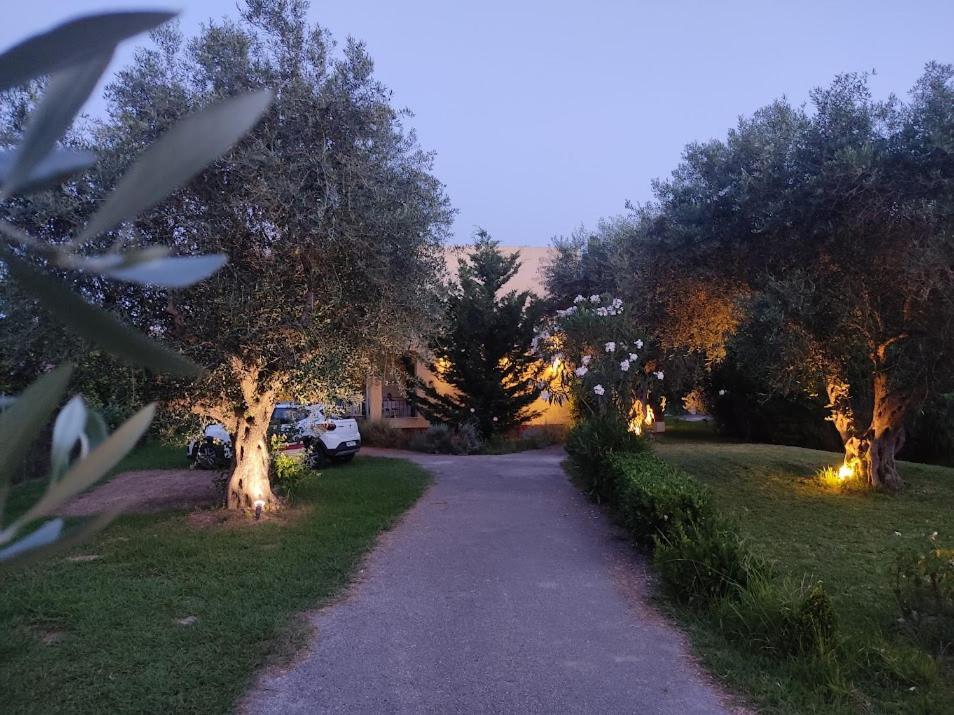 קאבוס Oliveland Apartments מראה חיצוני תמונה