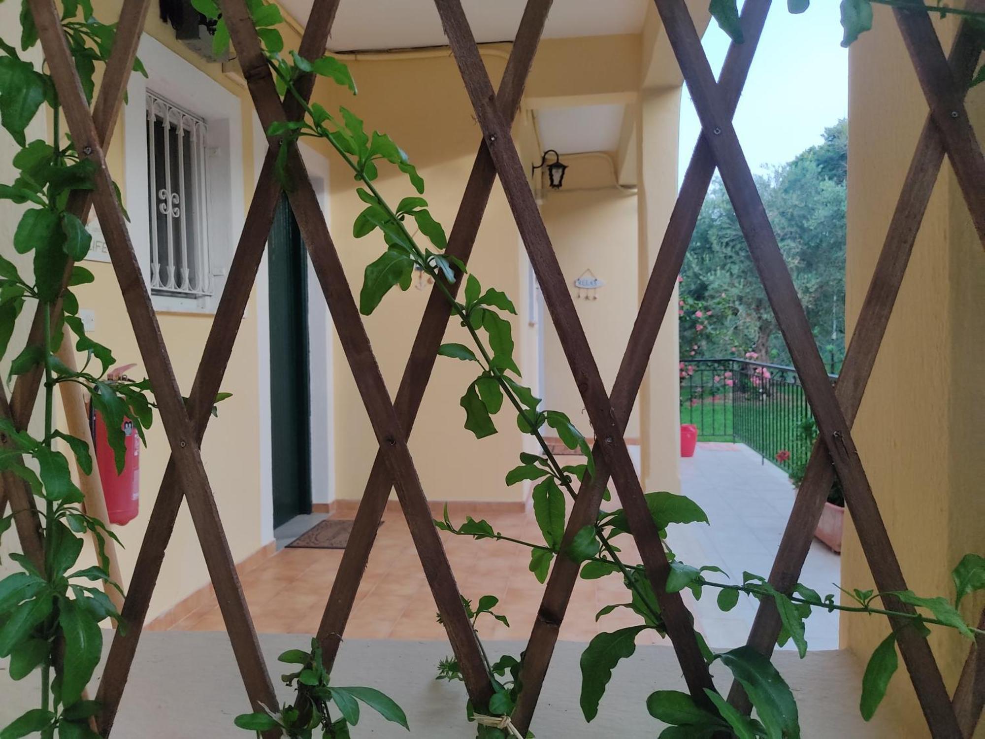 קאבוס Oliveland Apartments מראה חיצוני תמונה